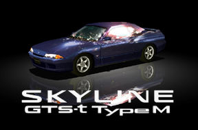 gts_t_type_m